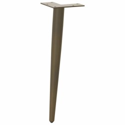 Pieds de table basse coniques 4 pièces Acier naturel 30-31 cm Acier 568167568167