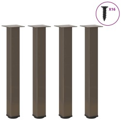 Pieds de table console 4 pièces Acier naturel 72-74 cm Acier 568170568170