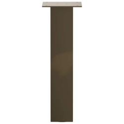 Pieds de table basse 4 pièces Acier naturel 42 cm Acier 568184568184