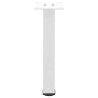 Pieds de table basse 4 pièces Blanc 30-32 cm Acier 568192568192