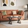 Pieds de table basse 2 pièces Acier naturel 50 x (42-43,3) cm Acier 568348568348