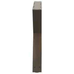 Pieds de table basse 2 pièces Acier naturel 50 x (42-43,3) cm Acier 568348568348