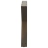 Pieds de table basse 2 pièces Acier naturel 50 x (42-43,3) cm Acier 568348568348