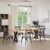 Pieds de table à manger 2 pièces Noir 60 x (72-73,3) cm Acier 568382568382