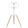 Support TV à trépied pour écran 37-65" max VESA 400x400mm 40 kg 568470568470