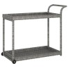 Chariot de bar Gris 100x45x83 cm Résine tressée 568803568803