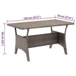 Table de jardin Gris 120x70x66 cm Résine tressée 568825568825