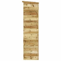 Abri à outils de jardin 163x50x171 cm Bois de pin solide 568943568943