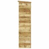 Abri à outils de jardin 163x50x171 cm Bois de pin solide 568943568943