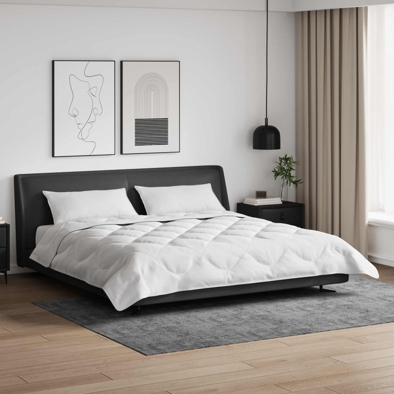Couette avec oreiller 3 pcs Blanc Microfibre 569308569308
