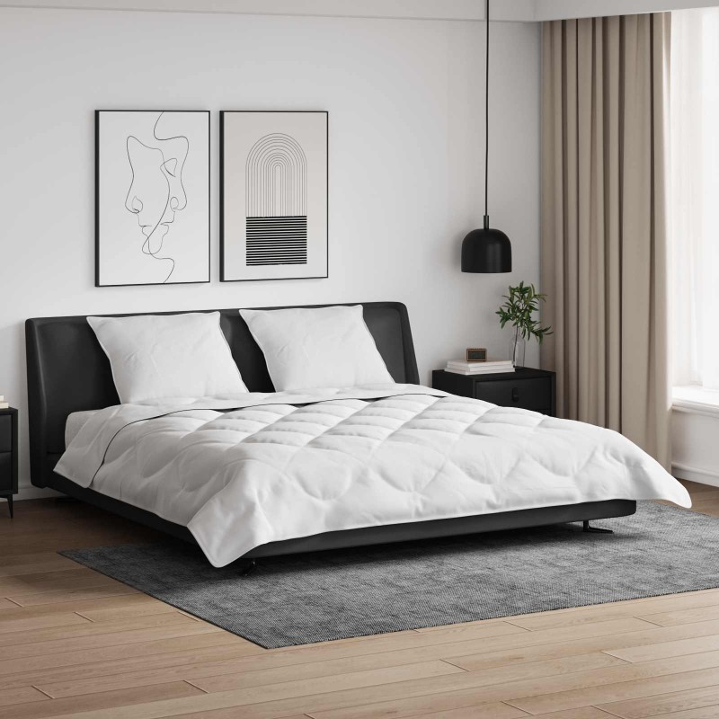 Couette avec oreiller 3 pcs Blanc Microfibre 569357569357