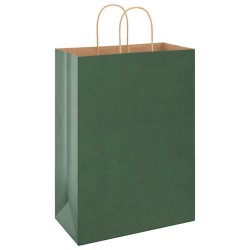 Sacs en papier 250 pcs avec poignées vert 32x17x44 cm 569521569521