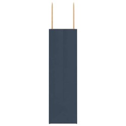 Sacs en papier 250 pcs avec poignées bleu 21x11x36 cm 569525569525