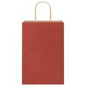 Sacs en papier 250 pcs avec poignées rouge 21x11x31 cm 569534569534