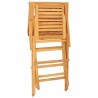 Chaises de jardin pliantes lot de 4 56x63x90cm bois massif teck 569546569546