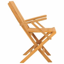 Chaises de jardin pliantes lot de 4 61x67x90cm bois massif teck 569547569547