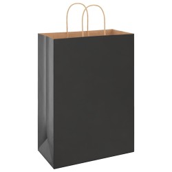 Sacs en papier 250 pcs avec poignées noir 32x17x44 cm 569662569662