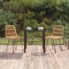 Ensemble à manger de jardin 3 pcs Résine tressée 569725569725