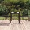 Ensemble à manger de jardin 3 pcs Noir Résine tressée 569728569728