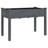 Jardinière sur roues avec doublure gris 118x59x80 cm bois sapin 569757569757