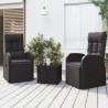 Ensemble de salon de jardin 3 pcs noir poly rotin et acier 569870569870