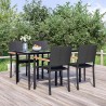 Ensemble à manger de jardin 5 pcs Noir Résine tressée 569933569933