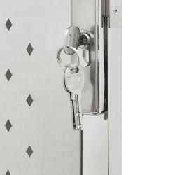 Portail de jardin 100 x 120 cm en acier inoxydable 570060570060