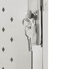 Portail de jardin 100 x 120 cm en acier inoxydable 570060570060
