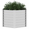 Lit surélevé de jardin 129x77 cm Acier galvanisé Argenté 570068570068