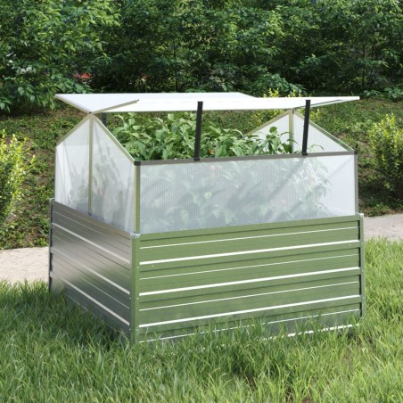 Lit surélevé de jardin avec serre 100x100x85 cm Argenté 570071570071