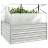 Lit surélevé de jardin avec serre 100x100x85 cm Argenté 570071570071