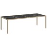 Table de jardin Beige 250x100x75 cm Verre trempé et poly rotin 570104570104