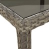 Table de jardin Gris 190x90x75 cm Verre trempé/résine tressée 570108570108