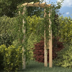Arche en treillis 110x60x210 cm Bois de pin massif imprégné 570295570295