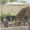 Ensemble de meubles d'extérieur 9 pcs Gris et Gris foncé 580881580881