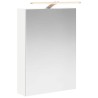 Armoire Miroir de Salle de Bain Blanc 50 x 14,5 x 70 cm 581065581065