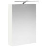 Armoire Miroir de Salle de Bain Blanc 50 x 14,5 x 70 cm 581065581065