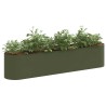 Jardin surélevé Vert olive 200 x 40 x 40 cm 581071581071
