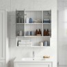 Armoire Miroir de Salle de Bain Blanc 60 x 14.5 x 70 cm 581096581096
