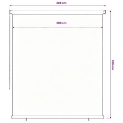 Store roulant d'extérieur 225 (l) x 230 (H) cm noir 581161581161