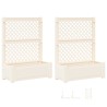 Grand bac avec treille 2 pcs Blanc 143 x 143 x 133,5 cm PP 581169581169