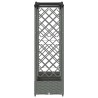 Lit Élevé avec Treillis et Toit Gris clair 207 x 40 x 123 cm PP 581202581202
