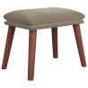 Repose-pied Gris clair 45x29,5x35 cm Velours 581259581259