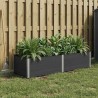 Jardinière surélevée Noir 250 x 100 x 54 cm 581384581384