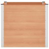 Jardinière surélevée Marron 100 x 100 x 91 cm 581398581398