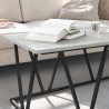 Table basse Gris 100 x 50 x 40 cm Bois d'ingénierie et métal 581599581599