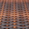 Salon de jardin 6 pcs avec coussins Résine tressée Marron 581603581603