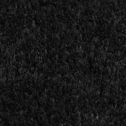 Tapis de porte 2 pcs noir 40x60 cm fibre de coco touffeté 581795581795