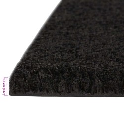 Tapis de porte 2 pcs noir 40x60 cm fibre de coco touffeté 581795581795