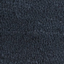 Tapis de porte gris foncé 40x60 cm fibre de coco touffeté 581801581801